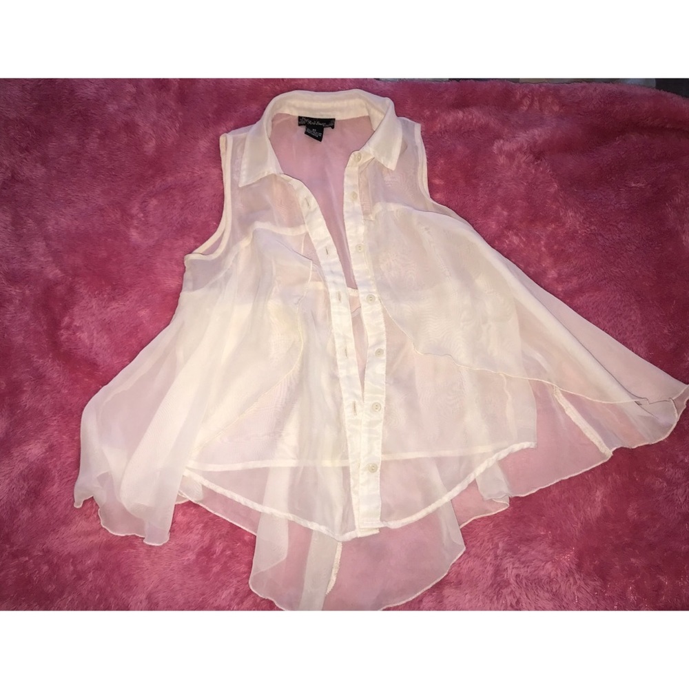 Button Down Collared Sheer Blouse